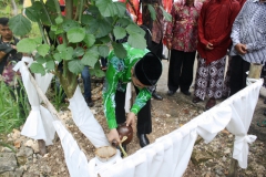 Event Budaya: Upacara Rosulan dan lain-lain