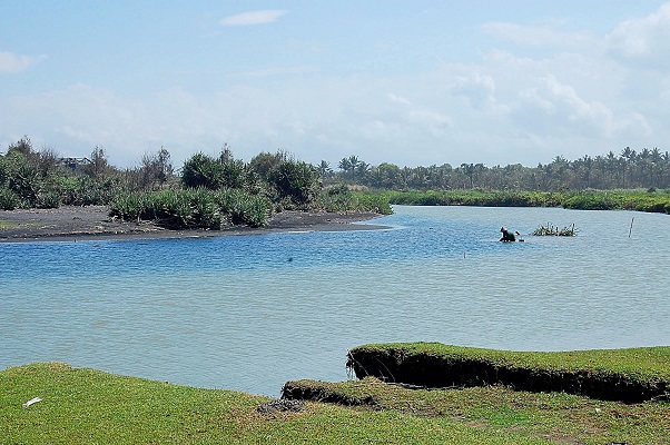 Wisata Alam: Pantai Samas, Pantai Goa Cemara