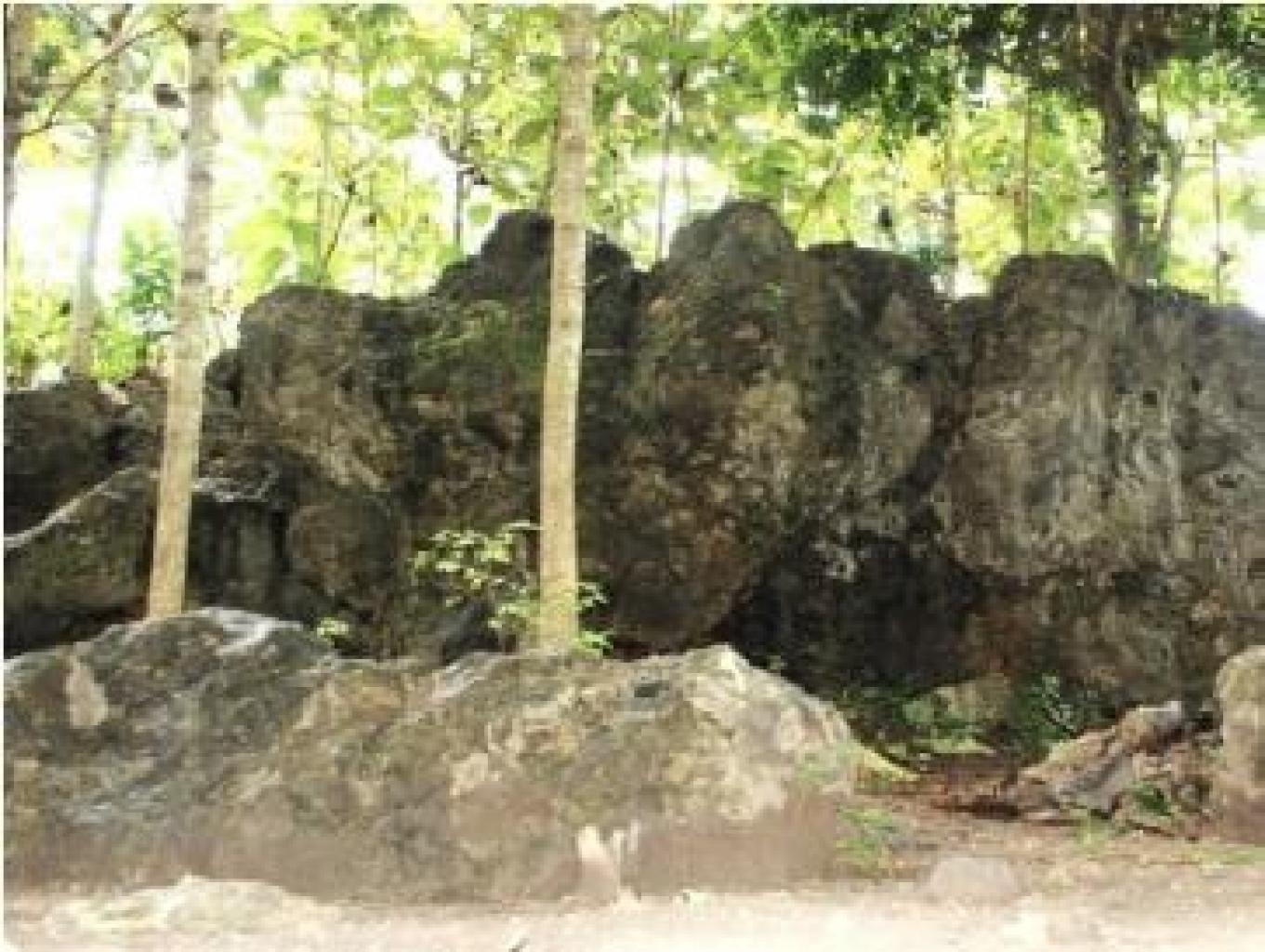 Petilasan Sultan Agung di dusun Blawong I dan Blawong II, Desa Trimulyo