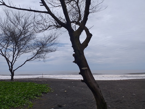 Pantai Pandansimo